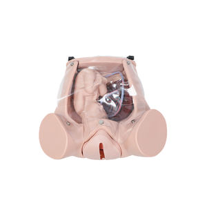 Model Rotasi Mesin Pemeriksaan Abdomen dan Persalinan Komprehensif Canggih DARHMMY untuk Ilmu Kedokteran - Product Image 4