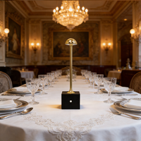 Lámpara de Escritorio LED de Alta Gama Personalizable, con Certificación CE y RoHS, Estilo Nórdico, Recargable, Táctil, Inalámbrica, Minimalista y de Lujo para Hotel o Restaurante