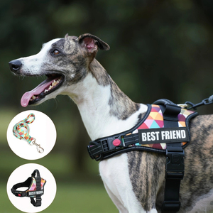 Imbracatura per animali domestici con Logo personalizzato di marca di colore riflettente in Nylon resistente con toppa con nome gilet senza imbracatura per cani - Product Image 2