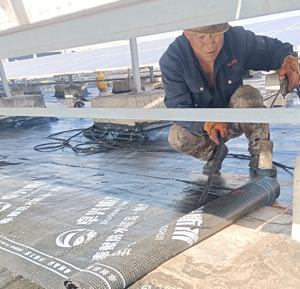 <span class=keywords><strong>Membrane</strong></span> d'étanchéité bitumineuse SBS Torch 3mm 4mm pour toitures, sous-sols et applications extérieures, garantie 5 ans, résistante aux UV - Product Image 3