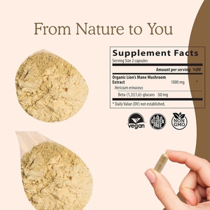 Factory Supply Lion's Mane Mushroom Food Grade Capsules 60/90 Count for <strong>Brain</strong> &amp; Energy Support Wholesale Supplement - Product Image 3