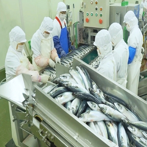 Línea de Procesamiento de Pescado Enlatado Semiautomática Comercial ANTLER para <span class=keywords><strong>Sardinas</strong></span> <span class=keywords><strong>en</strong></span> <span class=keywords><strong>Aceite</strong></span> con Capacidad de 40 Latas/Minuto - Product Image 2