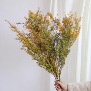 Mirtilli Dorati Sbiancati <span class=keywords><strong>e</strong></span> Conservati, Senza Rami Neri, per Fioristi <span class=keywords><strong>e</strong></span> Fai-da-Te, Fornitura per Bouquet - Product Image 2