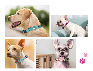 Penjualan paling laris kerah anjing poliester mewah kustom pita kalung hewan peliharaan bunga pola semangka Teddy Bichon kecil Medium - Product Image 6