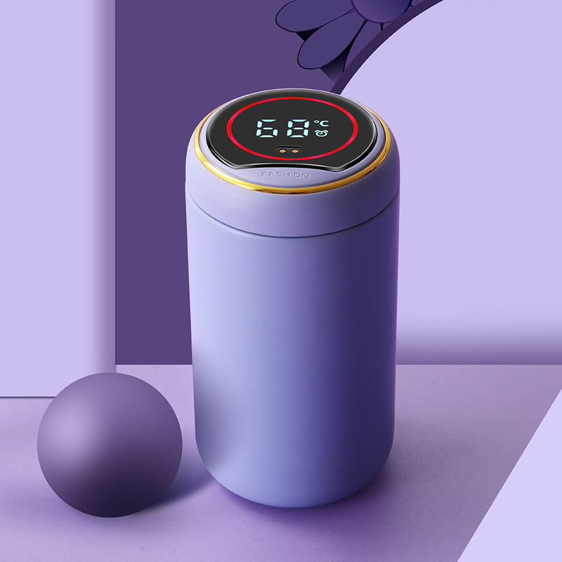 Cute Water Bottle With Led Temperature