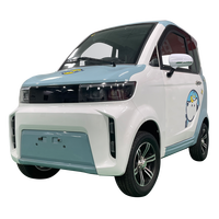 Nouveau Tricycle Électrique Miniature à Deux Portes 2026, Batterie Plomb-Acide, Vitesse 50-70km/h, Autonomie 101-200km, Usage Domestique et Urbain, Certifié CEE