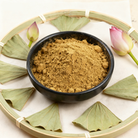 Extrait de Nelumbo Nucifera de haute qualité 10:1, extrait pur de feuille de lotus 2% 4% 98% Nuciferine