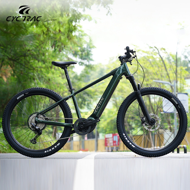 EM5 Electric Mountain Bike 48V 250W Central Motor Lithium Battery Carbon Frame 12-Speed Suspension Fork Hydraulic Disc Brake