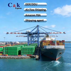 Servicio de Entrega DDP Marítimo de Amplia Cobertura con Tarifas Competitivas y Despacho Rápido para Alcanzar Todos los Estados de EE. UU. y las Principales <span class=keywords><strong>Ciudades</strong></span> - Product Image 1