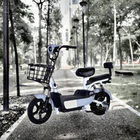 Vélo électrique de ville 350W 48V pour adultes, 14 pouces, 2 places, batterie au plomb-acide 10,5Ah, moteur à moyeu arrière avec capteur