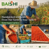 Baies de Goji Entières Séchées Bio de Qualité Supérieure du Ningxia – Vente en Gros, Rouge, Saines, pour Mélanges de Thé et Cuisine, Goût Sucré, Prêtes à l'emploi