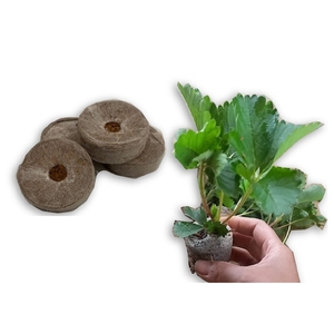Việt Nam Hữu Cơ 4.3cm Dừa Than bùn Hạt giống chất nền thủy canh khối hệ thống cho phát triển cà chua và các loại rau khác - Product Image 1