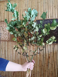 يونان الجملة المحفوظة الطبيعي 23in الكستناء أوراق الجافة الزفاف الديكور زهور مجففة الزفاف الذهب أوراق Salal يترك - Product Image 2