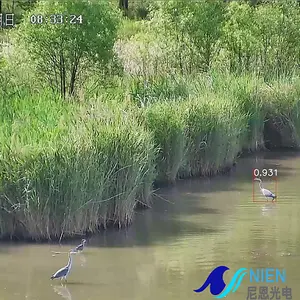 ניטור זיהוי ציפורים AI למרחקים ארוכים, מיקוד לטווח ארוך, ערפל, מצלמת מעקב PTZ בספקטרום כפול