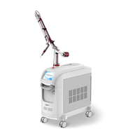 Machine de suppression de tatouages au laser Nd Yag, élimination des pigments, blanchiment au laser picoseconde à vendre