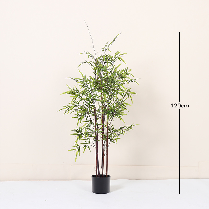 Bonsaï bambou violet 120CM