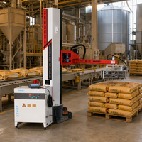Robot Palettiseur Haute Vitesse avec Support Marque Privée et Assistance à Distance 90-300KG pour Ligne d'Empilage Logistique