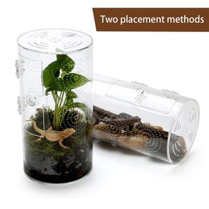Enceinte acrylique sautant araignée <span class=keywords><strong>insecte</strong></span> Terrarium pour petit arbre habitation Reptiles boîtes de rangement bacs - Product Image 3