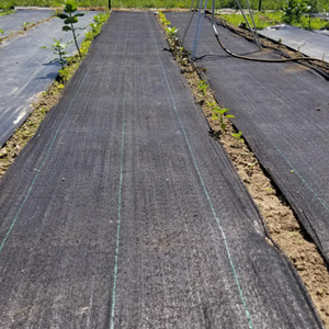 Tessuto di controllo della barriera della stuoia di coltivazione dell'erba non tessuta della copertura del terreno non tessuta dei pp - Product Image 4