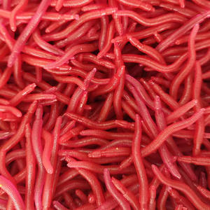 मिट्टी के कीड़े लाल कीड़े सिलिकॉन कृत्रिम नरम स्नान मछली पकड़ने वाले रक्तवर्धा तैराक रक्त वर्धा तैराक स्नान करते हैं - Product Image 6