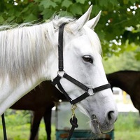 Équipement équestre Accessoires Équitation Bride Extérieur Nylon Polyester Nylon Corde Expédition Halter Selle Anglaise