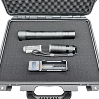 Lampe torche laser portable anti-oiseaux, dissuasif et répulsif pour pigeons et moineaux