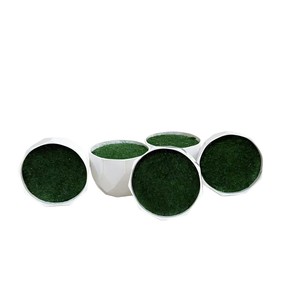 Pots à fleurs en plastique Paulon 6,5 cm, modèle Diamond Basin blanc, pour décorations de bureau, jardinières écologiques - Product Image 5
