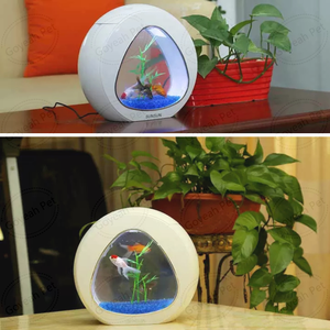 <span class=keywords><strong>Aquarium</strong></span> de bureau en acrylique de <span class=keywords><strong>1</strong></span> <span class=keywords><strong>gallon</strong></span> avec pompe de réservoir de poissons Betta et filtration-Bol à poisson de bureau pratique dans un emballage en boîte - Product Image 6