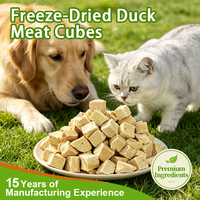 Cubes de viande de canard lyophilisés pour chiens et chats, friandises pour animaux de compagnie, friandises à mâcher pour les dents, alimentation quotidienne, approvisionnement direct d'usine