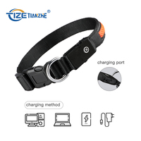 Collier de chien rechargeable par USB Led collier lumineux réglable collier de chien de sécurité de nuit clignotant lueur lumière LED collier de chien