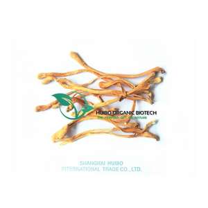 Grifola Frondosa tozu <span class=keywords><strong>Maitake</strong></span> mantar tozu doğal organik sınıf mantar tozu % <span class=keywords><strong>100</strong></span>% saflık - Product Image 2