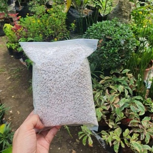<span class=keywords><strong>Perlita</strong></span> Expandida a Granel, Precio al por Mayor, <span class=keywords><strong>Perlita</strong></span> Expandida Industrial, Hortícola y Agrícola para Plantas - Product Image 5