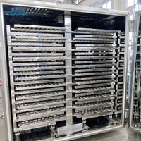 Secador de vacío YZG/FZG para alimentos de frutas GMP de baja temperatura