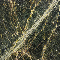 Grande dalle de marbre vert œil de chat naturel poli pour plan de travail de cuisine, meuble-lavabo de salle de bain, revêtement mural, carrelage de sol