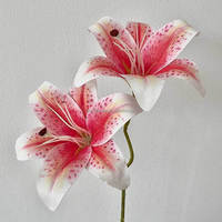 RTS Fabrik Doppelköpfiger Lilien-Kunstblumenstrauß PVC 50cm Modern Wiederverwendbar 3D-Gedruckt für Hochzeitssaal Hotel Zuhause Party Event