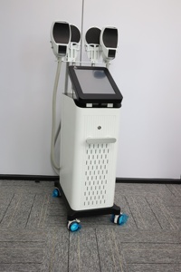 Appareil de remodelage corporel Tesla à 4 poignées, 6500W, pour raffermissement cutané et stimulation musculaire, avec option pour le plancher pelvien - Product Image 5