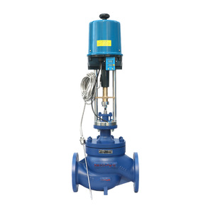 Vanne de régulation de température électrique à vapeur OEM personnalisée, fournie par l'usine, avec régulation haute/basse/moyenne température, normes ANSI GB - Product Image 2