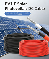 Câble solaire DC hautement flexible 10-95 mm, cuivre étamé, isolation XLPO, systèmes d'alimentation automobile 16A/30A