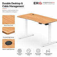 Bureau électrique moderne ergonomique réglable en hauteur OEM ODM avec commande manuelle à mémoire et plateau en bois