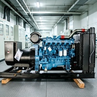 Groupe électrogène diesel silencieux 300 kVA à puissance stable avec radiateur tropical 50 Hz pour le Brunei, l'industrie pétrolière et les sites isolés – Alimentation fiable