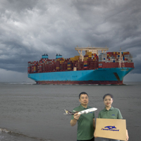 DDP 배송 DHL 해상 운송 화물 해상 운임 캐나다 중국에서 미국 프랑스 인도 해상 FBA DDP