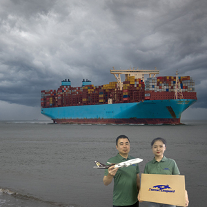 DDP доставка <span class=keywords><strong>DHL</strong></span> морское судно грузовые морские грузовые тарифы Канада Китай в США Франция Индия море FBA DDP - Product Image 2
