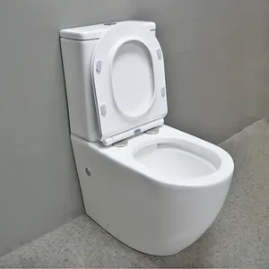 Perlengkapan Kamar Mandi Dua Potong Kamar Mandi, Perlengkapan Kamar Mandi, Dua Potong Wc, Set Toilet Lengkap, Bidet Keramik Dipasang Di Lantai Dinding