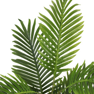 Precio de fábrica artificial al aire libre plantas hojas de palma árbol plantas para decoración interior para hotel - Product Image 5