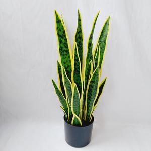 Planta Artificial de <span class=keywords><strong>Sansevieria</strong></span> Premium, Vegetación Artificial Realista, Ecológica y Duradera para Sala de Estar, Oficina, Acción de Gracias, Bodas - Product Image 4