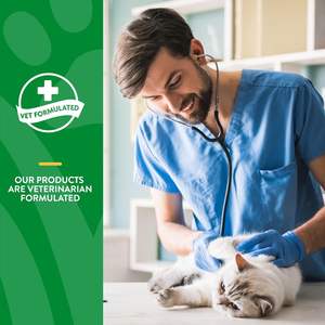 Vet Formula Psyllium Pumpkin Chews – Complément anti-boules <span class=keywords><strong>de</strong></span> poils pour chats, absorption rapide, sûr pour la santé digestive, traitement léchable des boules <span class=keywords><strong>de</strong></span> poils - Product Image 4