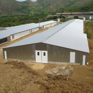 Galpones Avícolas, Refugio, Granja Avícola en Pakistán - Product Image 6