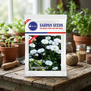 Semillas SARPAN HYBRID ASTER-AST-1 10g Blancas India - Product Image 3