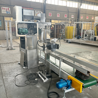 Machine d'emballage semi-automatique pour poids brut, conforme aux normes d'hygiène, avec pièces en acier inoxydable, pour ensachage de poudre minérale