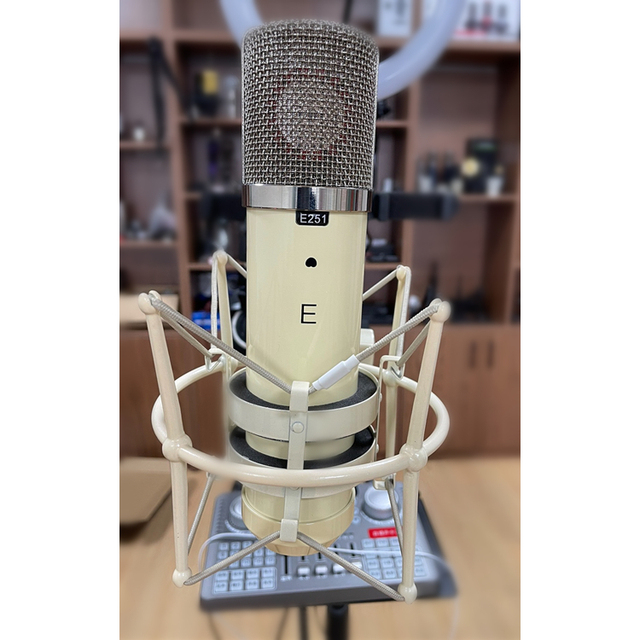 E251 Large 34mm Diaphragm Mic Professional Studio Tube Condenser Microphone for Recording with 130V Power Supply and Shock Mount